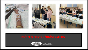 Seminář o péči o pacienty s žilními katetry pro 1.DVS